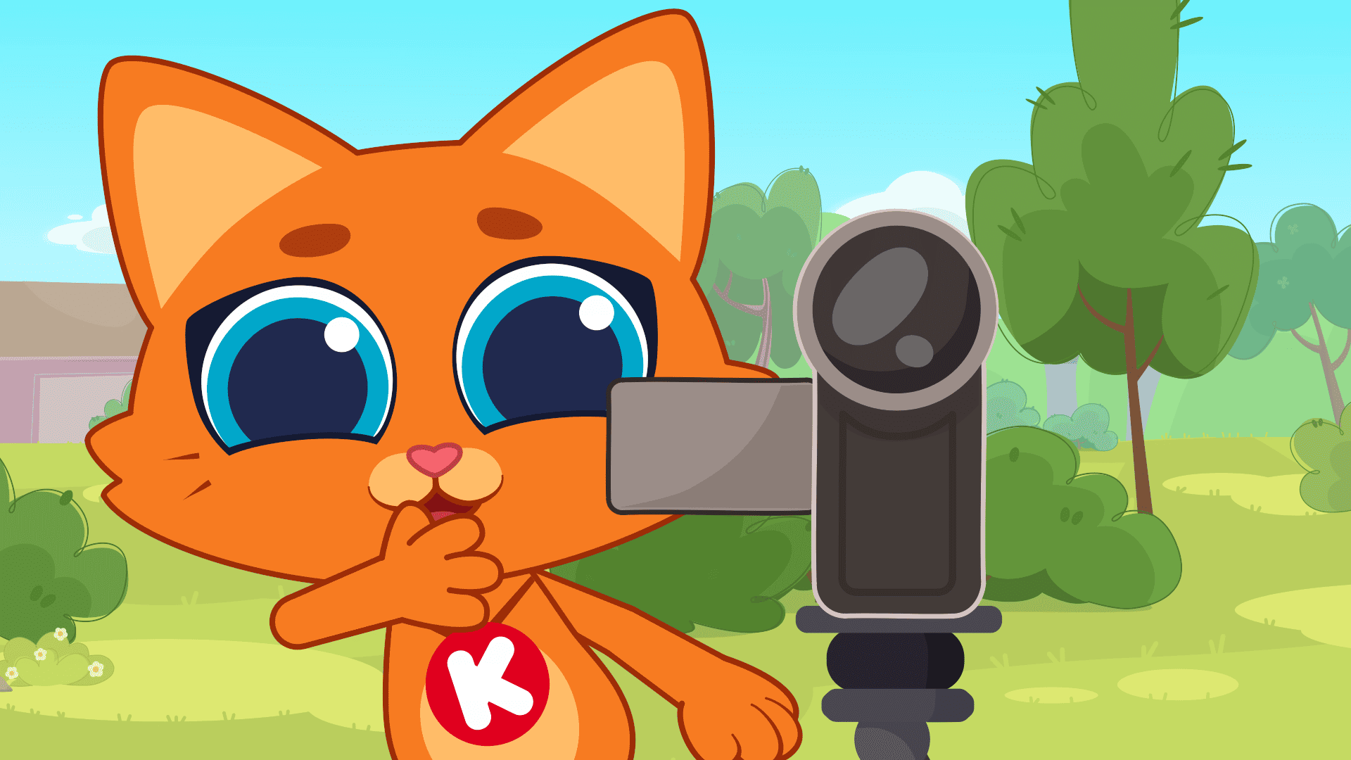 Камера, мотор