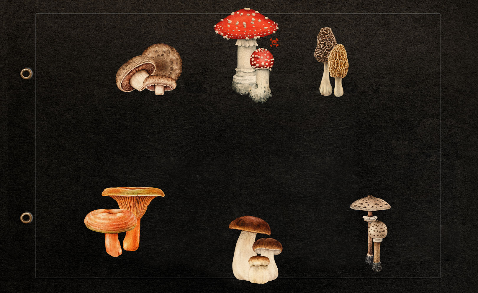 Что случилось осенью