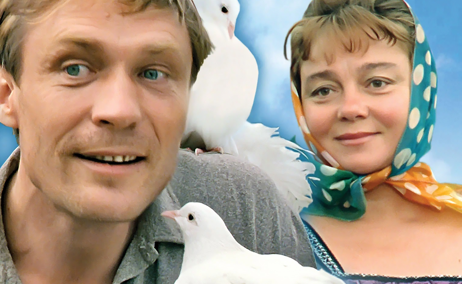 Любовь и голуби