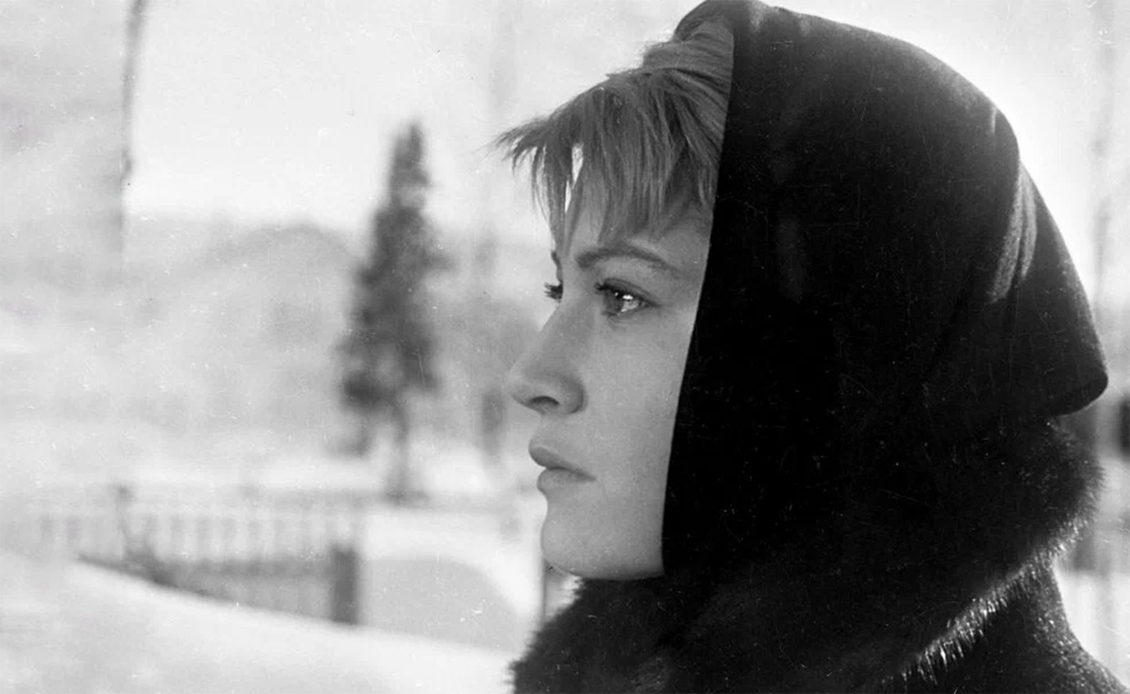 Жили-были старик со старухой