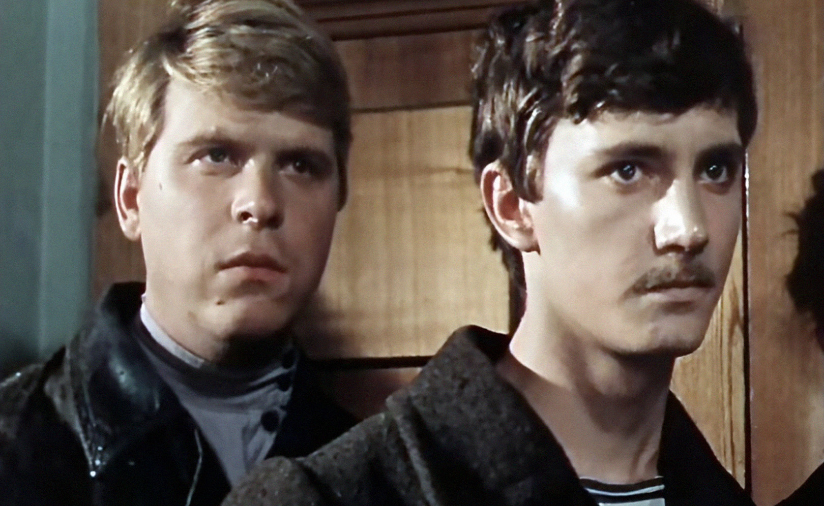 О друзьях-товарищах