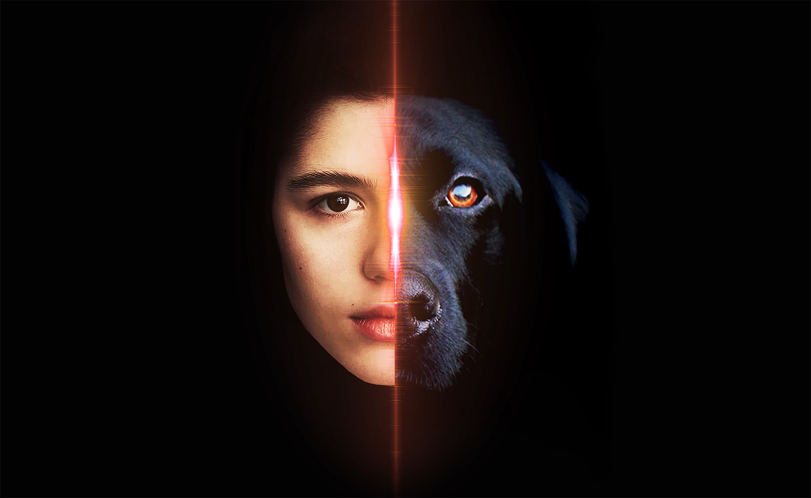 Догги. Фильм о фильме