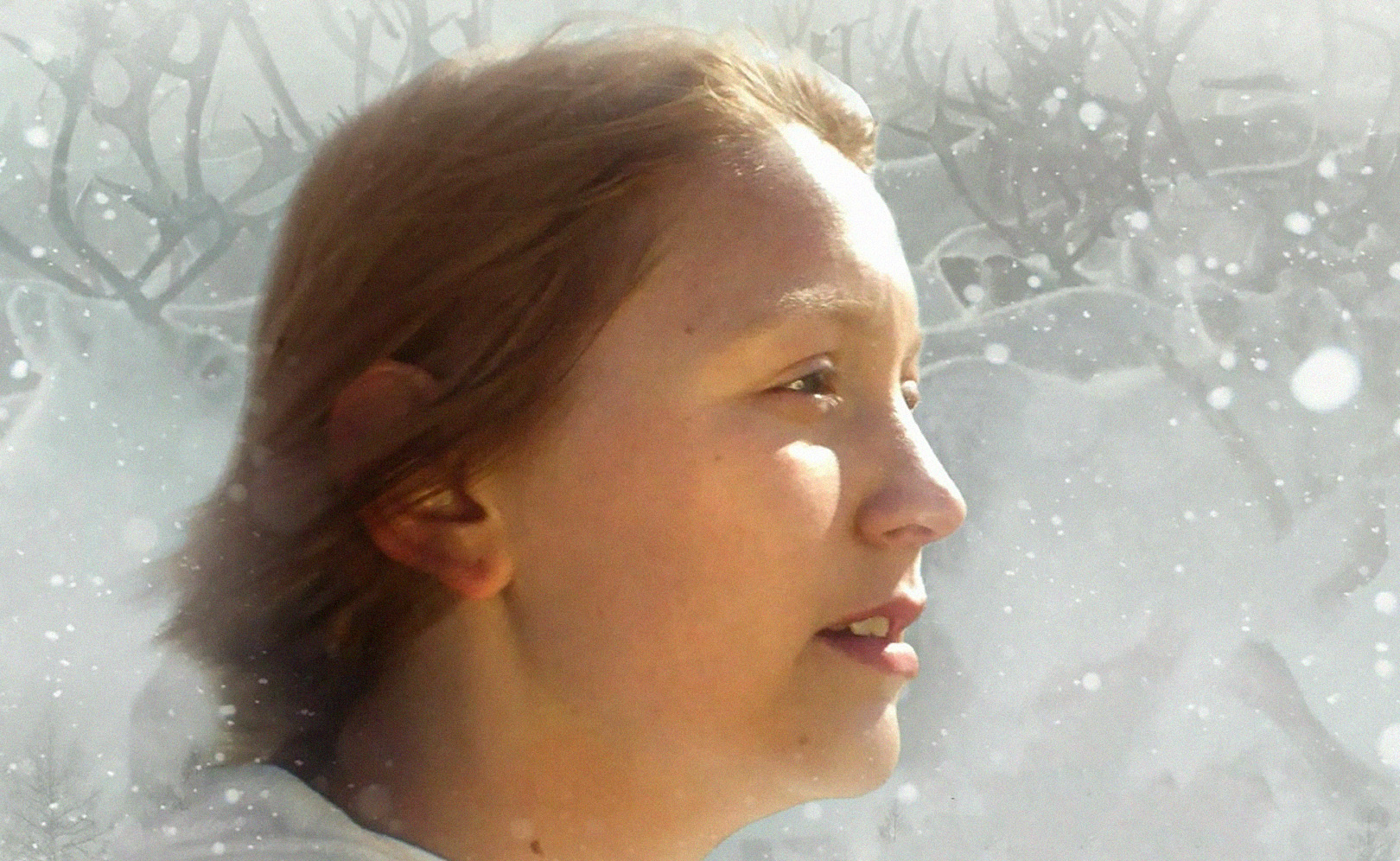 Белый ангел тундры