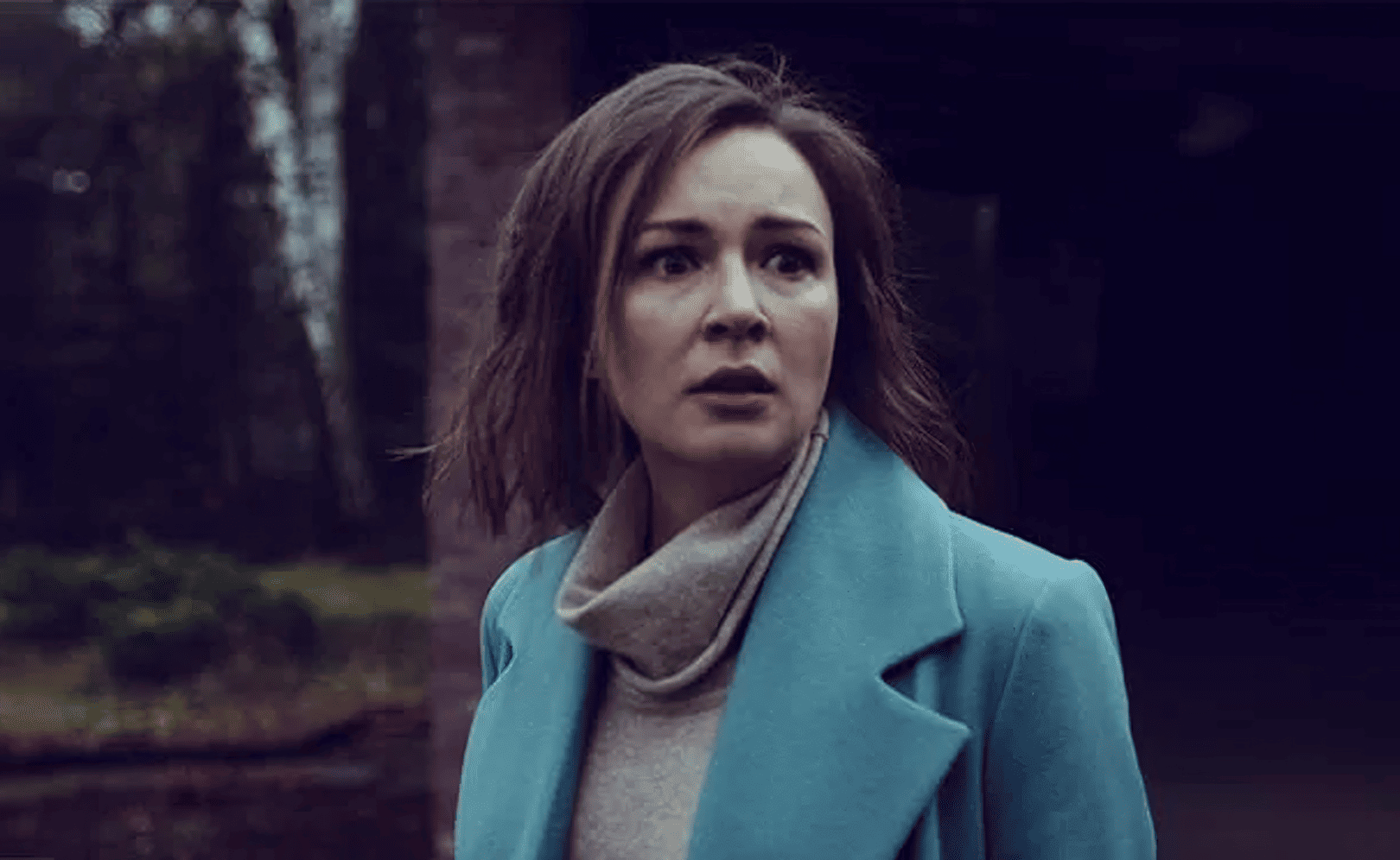 Тень дракона