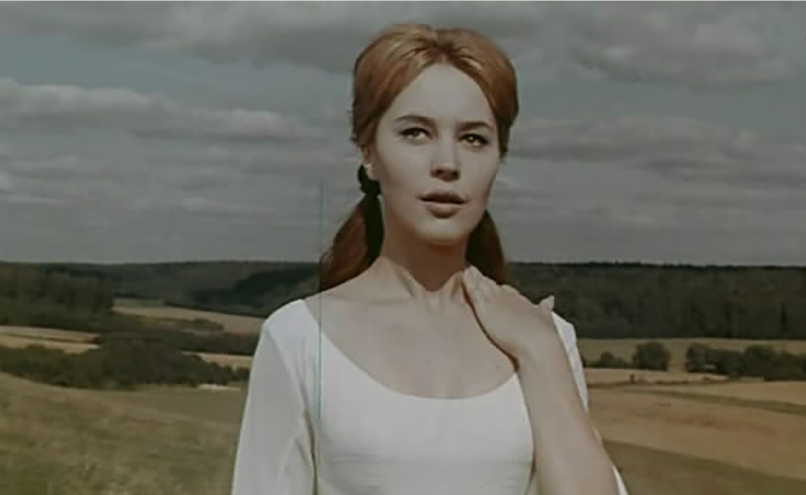 Цветы запоздалые