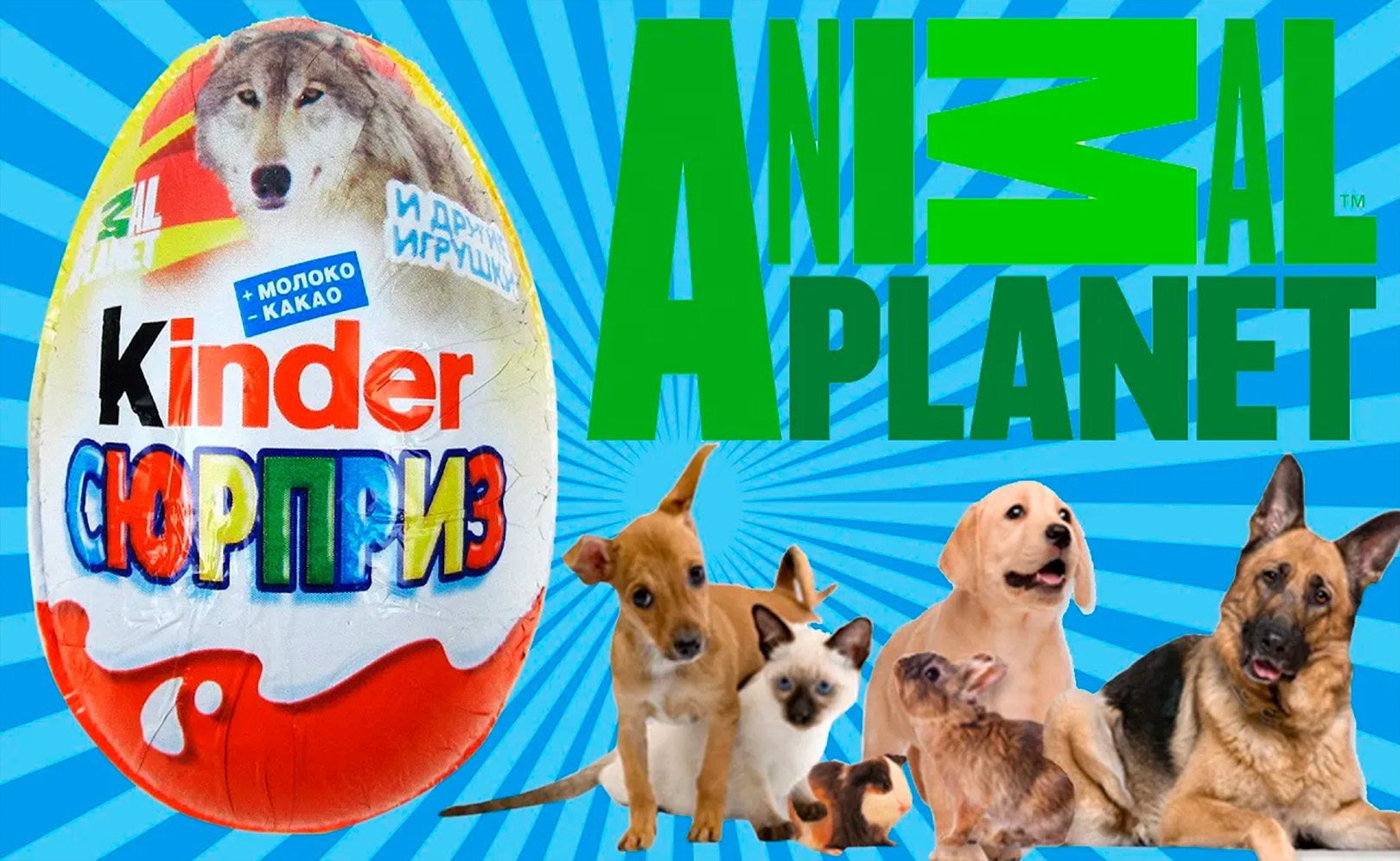 Киндер сюрприз распаковка animal planet МанкитуИгры