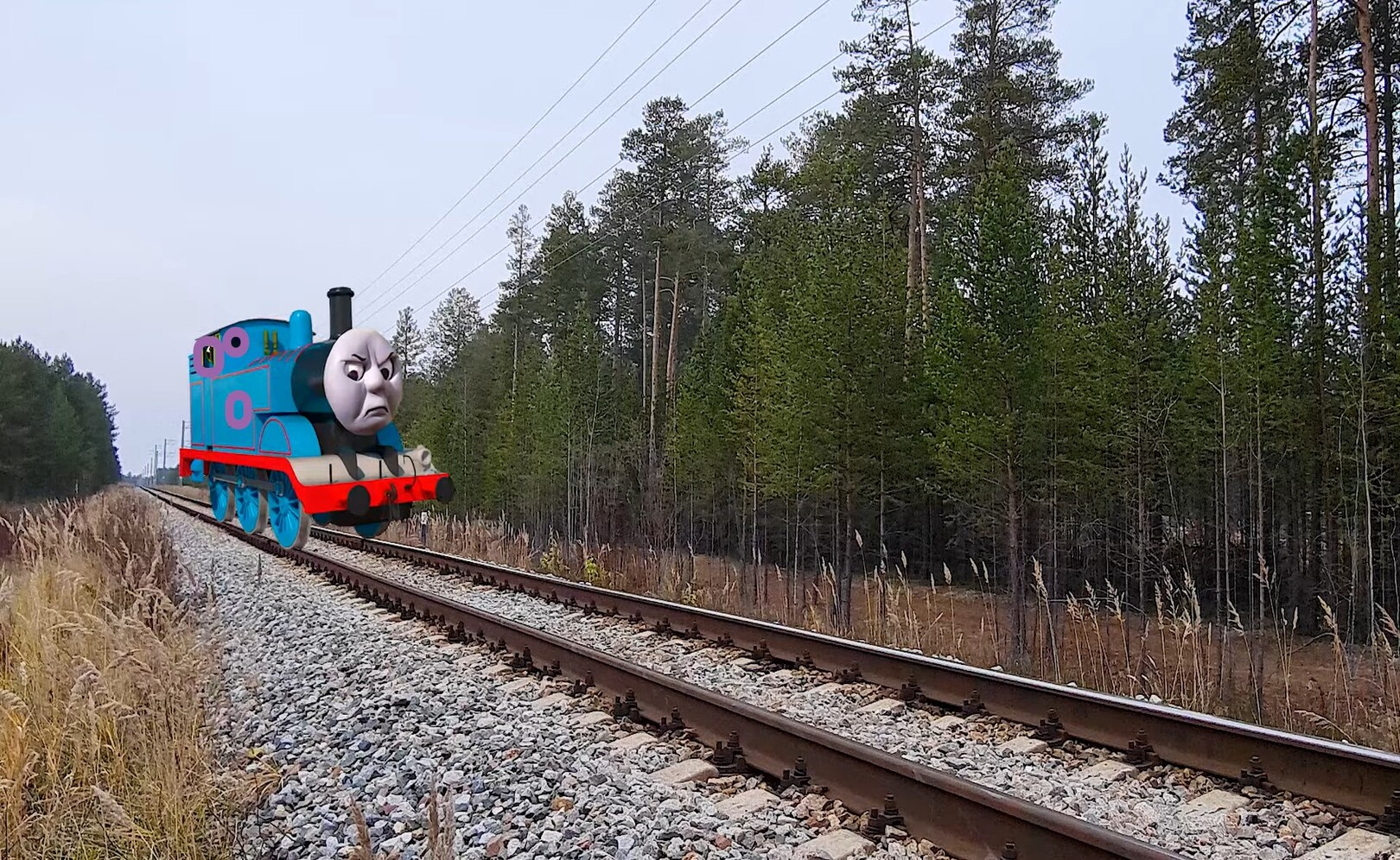 NiKiRi. Сезон 1. Серия 19