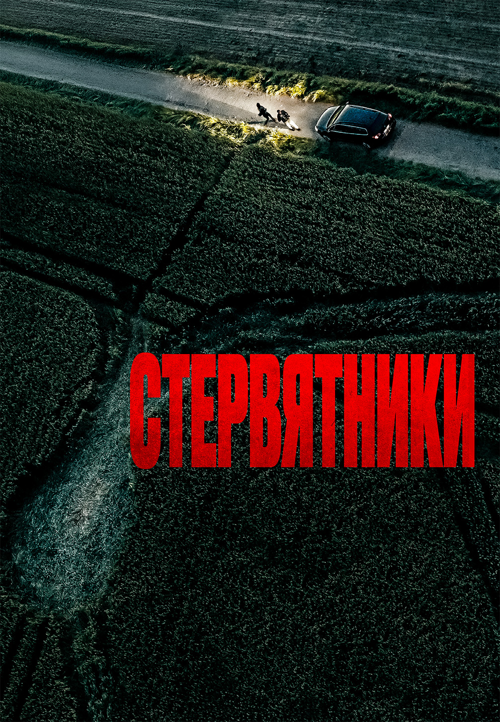 Постер к фильму Стервятники 2025