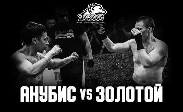 Дмитрий «Анубис» vs Тимур «Золотой»