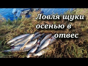 ловля щуки осенью в отвес (отвесное блеснение)