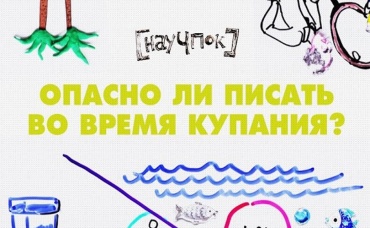31-я серия