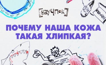 33-я серия