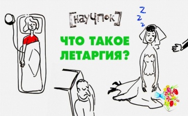5-я серия