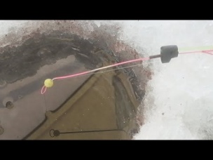 Прямо С Рыбалки