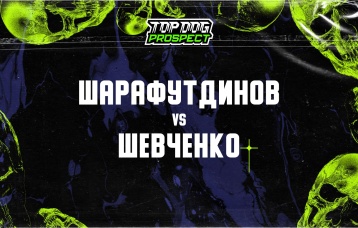 Шарафутдинов vs Шевченко