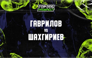 Гаврилов vs Шахгириев