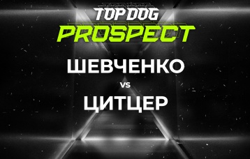 Шевченко vs Цитцер