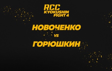 Новоченко vs Горюшкин