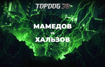 Мамедов vs Хальзов