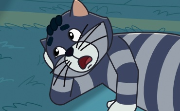 Загадка носков