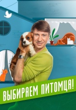 Постер к сериалу Выбираем питомца 2018