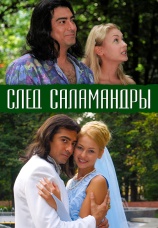 Постер к сериалу След саламандры 2009