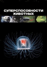 Постер к сериалу Суперспособности животных 2014
