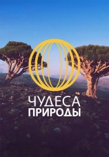 Постер к сериалу Чудеса природы 2012