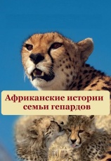 Постер к сериалу Африканские истории семьи гепардов 2017