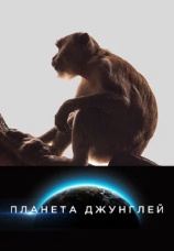 Постер к сериалу Планета джунглей 2017