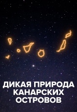 Постер к фильму Дикая природа Канарских островов 2021