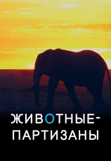 Постер к фильму Животные-партизаны 2021