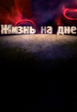 Постер к фильму Жизнь на дне 2011