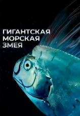 Постер к фильму Гигантская морская змея 2021
