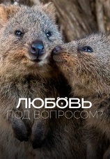 Постер к фильму Любовь под вопросом? 2020