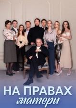 Постер к сериалу На правах матери 2024