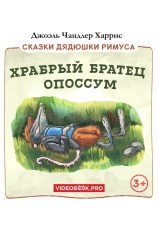 Постер к фильму Храбрый Братец Опоссум 2025