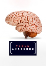 Постер к сериалу Тайны анатомии 2019