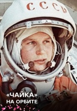Постер к фильму Чайка на орбите 2016
