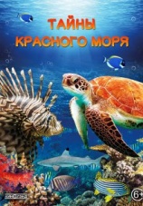 Постер к фильму Тайны Красного моря 2016