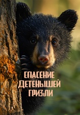 Постер к сериалу Спасение детенышей гризли 2017