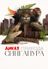 Постер к сериалу Дикая природа Сингапура 2016