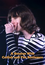 Постер к фильму Catfish and the Bottlemen. In Session 2014