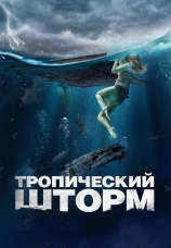 Постер к фильму Тропический шторм 2022