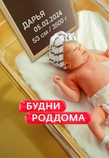 Постер к сериалу Будни роддома 2022