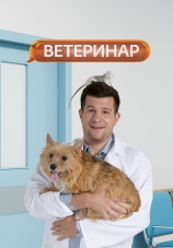 Постер к сериалу Ветеринар 2021