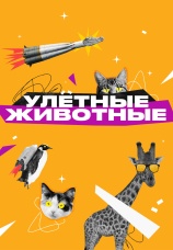 Постер к сериалу Улетные животные 2024