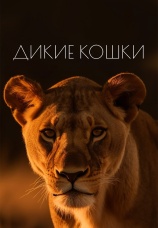 Постер к сериалу Дикие кошки 2021