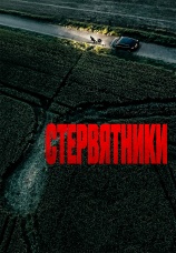 Постер к фильму Стервятники 2025