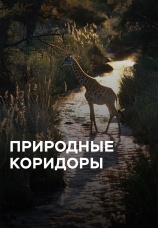 Постер к сериалу Природные коридоры 2021